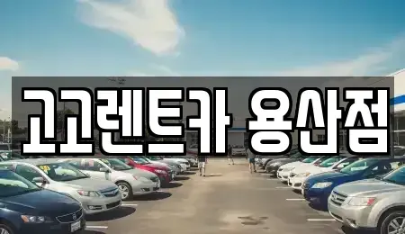 서울특별시 용산구 한강로3가 렌트카 전문 고고렌트카 용산점