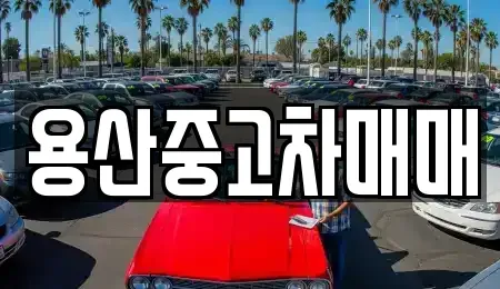서울특별시 용산구 한강로3가 중고차매매 전문 용산중고차매매