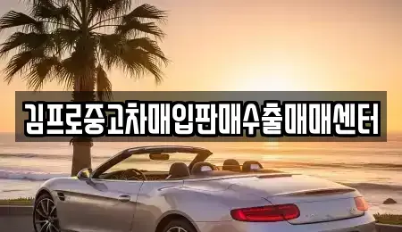 서울특별시 용산구 한강로3가 중고차매입 전문 김프로중고차매입판매수출매매센터