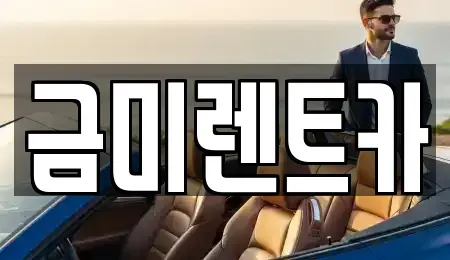 서울특별시 종로구 명륜4가 렌트카 전문 금미렌트카