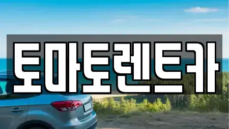서울특별시 종로구 명륜4가 렌트카 전문 토마토렌트카