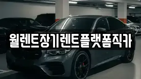 서울특별시 종로구 명륜4가 장기렌트카 전문 월렌트장기렌트플랫폼직카