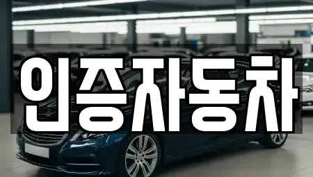 서울특별시 종로구 명륜4가 중고차 전문 인증자동차