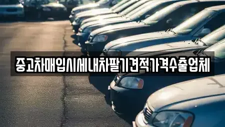 서울특별시 종로구 명륜4가 중고차 전문 중고차매입시세내차팔기견적가격수출업체