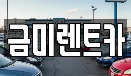 서울특별시 종로구 옥인동 렌트카 전문 금미렌트카