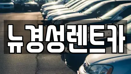 서울특별시 종로구 옥인동 렌트카 전문 뉴경성렌트카