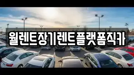 서울특별시 종로구 옥인동 장기렌트카 전문 월렌트장기렌트플랫폼직카