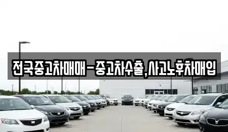 서울특별시 종로구 옥인동 중고차 전문 전국중고차매매-중고차수출,사고노후차매입