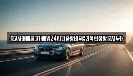 서울특별시 종로구 옥인동 중고차 전문 중고차매매최고가매입24시간출장비무료견적현장방문지누카