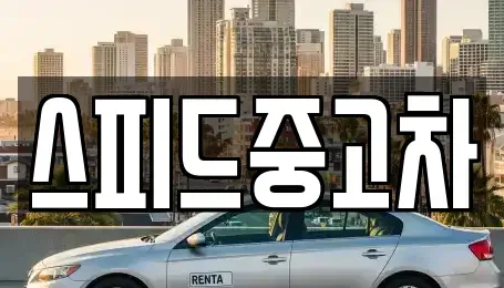 서울특별시 종로구 옥인동 중고차매매 전문 스피드중고차