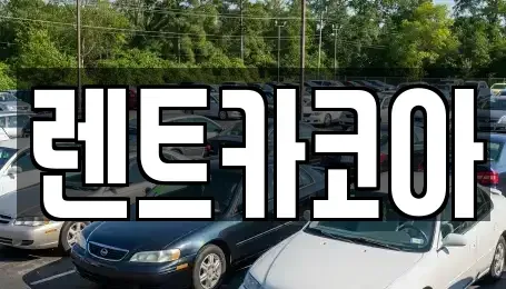 서울특별시 중구 광희동1가 렌트카 전문 렌트카코아