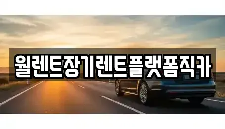 서울특별시 중구 광희동1가 렌트카 전문 월렌트장기렌트플랫폼직카
