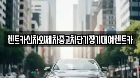 서울특별시 중구 광희동1가 장기렌트카 전문 렌트카신차외제차중고차단기장기대여렌트카