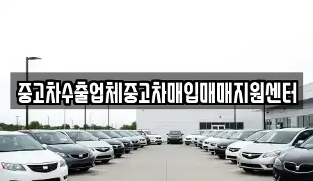 서울특별시 중구 광희동1가 중고차매입 전문 중고차수출업체중고차매입매매지원센터