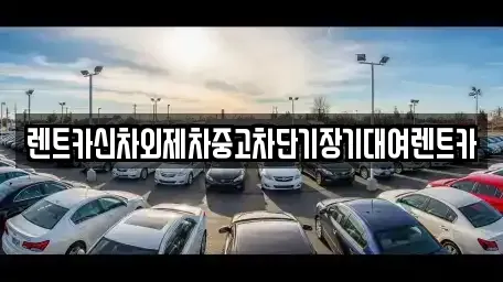 서울특별시 중구 남대문로4가 렌트카,단기렌트카,장기렌트카,중고차,중고차매매,중고차매입