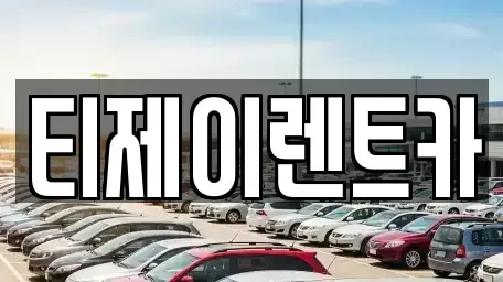 서울특별시 중구 남대문로4가 렌트카 전문 티제이렌트카