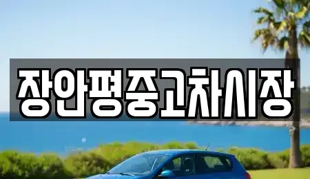 서울특별시 중구 남대문로4가 중고차 전문 장안평중고차시장