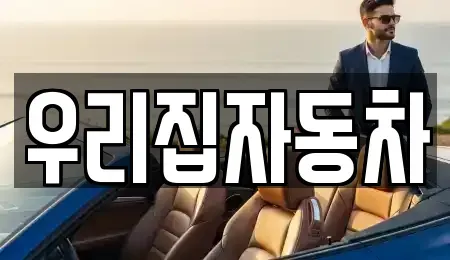 서울특별시 중구 남대문로4가 중고차매매 전문 우리집자동차