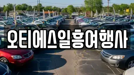 서울특별시 중구 무교동 렌트카 전문 오티에스일흥여행사