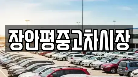 서울특별시 중구 무교동 중고차 전문 장안평중고차시장