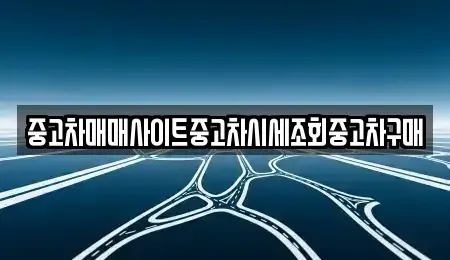 서울특별시 중구 무교동 중고차매매 전문 중고차매매사이트중고차시세조회중고차구매