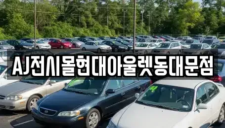 서울특별시 중구 방산동 렌트카 전문 AJ전시몰현대아울렛동대문점