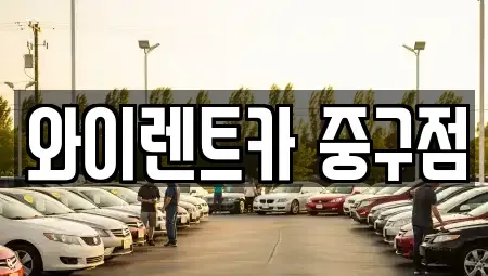 서울특별시 중구 방산동 렌트카 전문 와이렌트카 중구점
