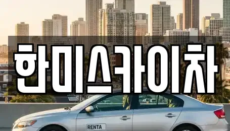 서울특별시 중구 수하동 중고차 전문 한미스카이차
