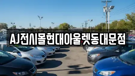 서울특별시 중구 주교동 렌트카 전문 AJ전시몰현대아울렛동대문점