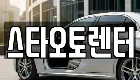 서울특별시 중구 주교동 렌트카 전문 스타오토렌터