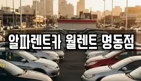 서울특별시 중구 주교동 렌트카 전문 알파렌트카 월렌트 명동점