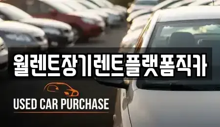 서울특별시 중구 주교동 장기렌트카 전문 월렌트장기렌트플랫폼직카