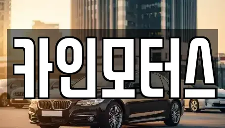 서울특별시 중구 주교동 중고차 전문 카인모터스