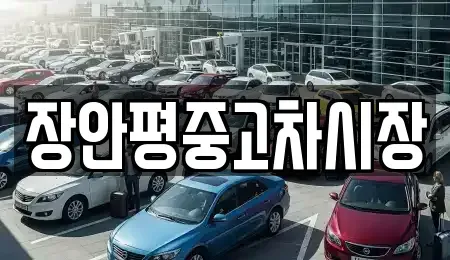서울특별시 중구 주교동 중고차매매 전문 장안평중고차시장