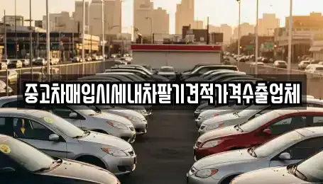 서울특별시 중구 주교동 중고차매입 전문 중고차매입시세내차팔기견적가격수출업체