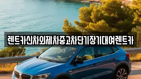 서울특별시 중구 중림동 단기렌트카 전문 렌트카신차외제차중고차단기장기대여렌트카