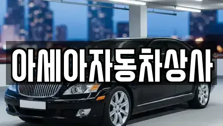 서울특별시 중구 중림동 중고차 전문 아세아자동차상사