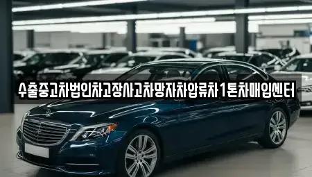 서울특별시 중구 중림동 중고차매매 전문 수출중고차법인차고장사고차망자차압류차1톤차매입센터