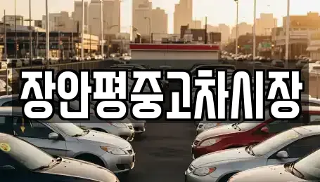 서울특별시 중구 중림동 중고차매매 전문 장안평중고차시장