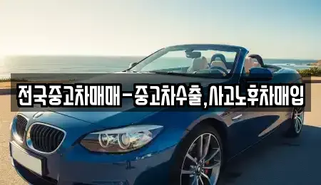 서울특별시 중구 중림동 중고차매매,단기렌트카,중고차매입,장기렌트카,중고차,렌트카