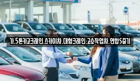 서울특별시 중구 중림동 중고차매입 전문 가.5톤카고크레인.스카이차.대형크레인.고소작업차.연합S중기