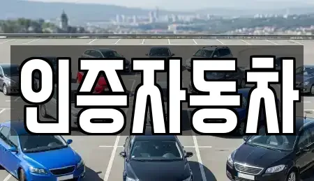 서울특별시 중구 충정로1가 중고차 전문 인증자동차