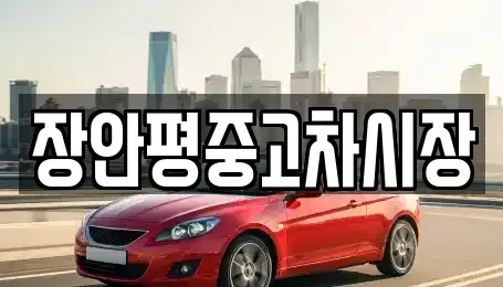 서울특별시 중구 충정로1가 중고차 전문 장안평중고차시장
