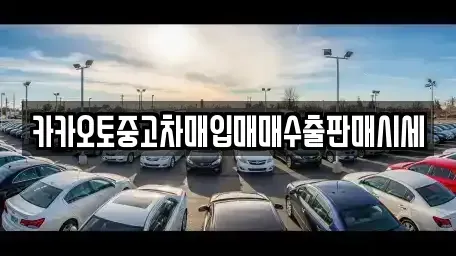 서울특별시 중구 충정로1가 중고차매입 전문 카카오토중고차매입매매수출판매시세