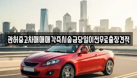 서울특별시 중구 태평로2가 중고차매매 전문 관허중고차매매매각즉시송금당일이전무료출장견적