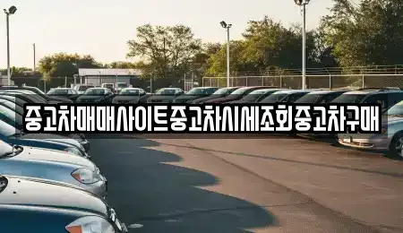 서울특별시 중구 태평로2가 중고차매매 전문 중고차매매사이트중고차시세조회중고차구매