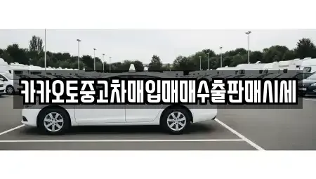 서울특별시 중구 태평로2가 중고차매입 전문 카카오토중고차매입매매수출판매시세