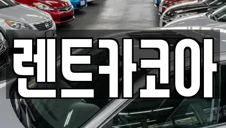 서울특별시 중구 회현동1가 렌트카 전문 렌트카코아
