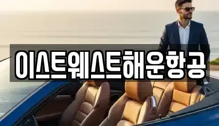 서울특별시 중구 회현동1가 중고차 전문 이스트웨스트해운항공