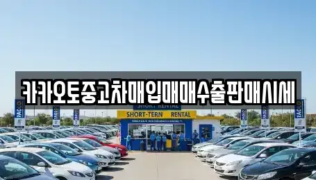 서울특별시 중구 회현동1가 중고차 전문 카카오토중고차매입매매수출판매시세
